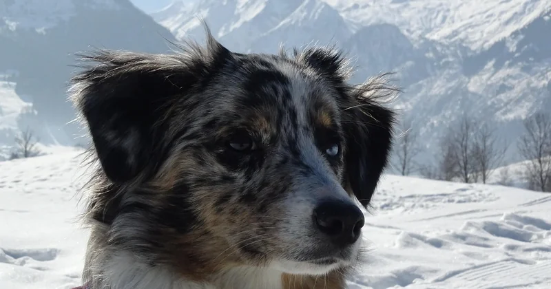 Am See oder im Schnee: zwei sehr verschiedene Urlaube