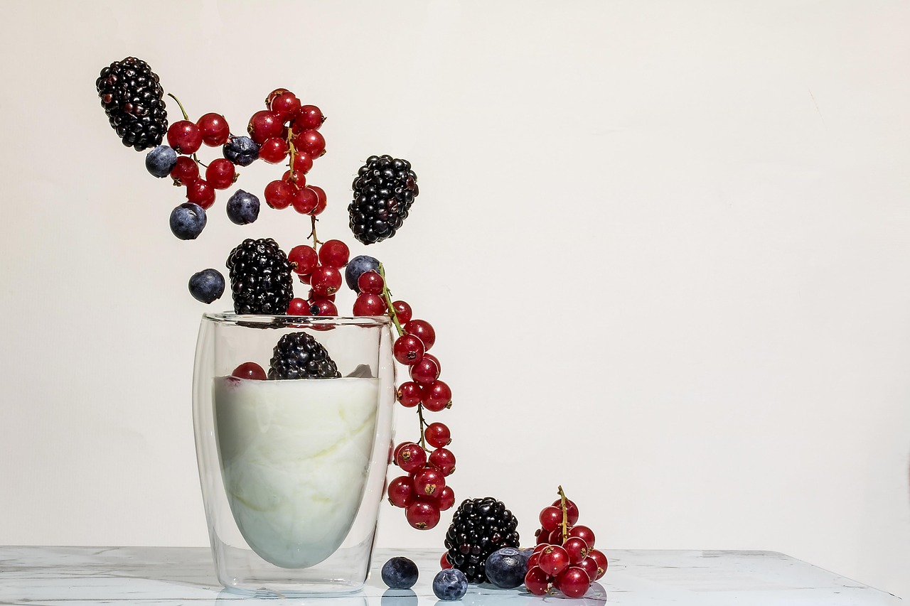 Milchprodukte selbst herstellen: Joghurt und Käse