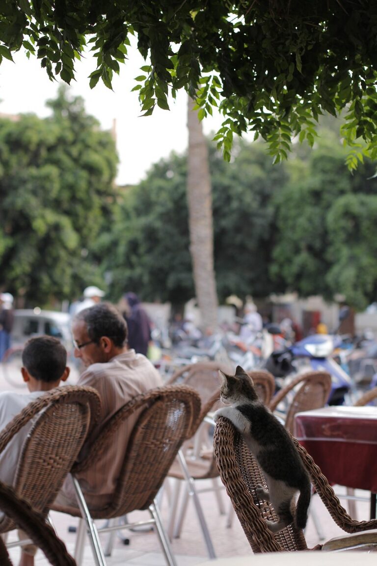 g9bde73b9417c3692ccb7f7374a1aa12ab4358eb474f6dd48c87fd80921e4178cf0860ec8902fc0321f0f2253c3e8cc4e2072c4941887efd65282f240aca06146_1280