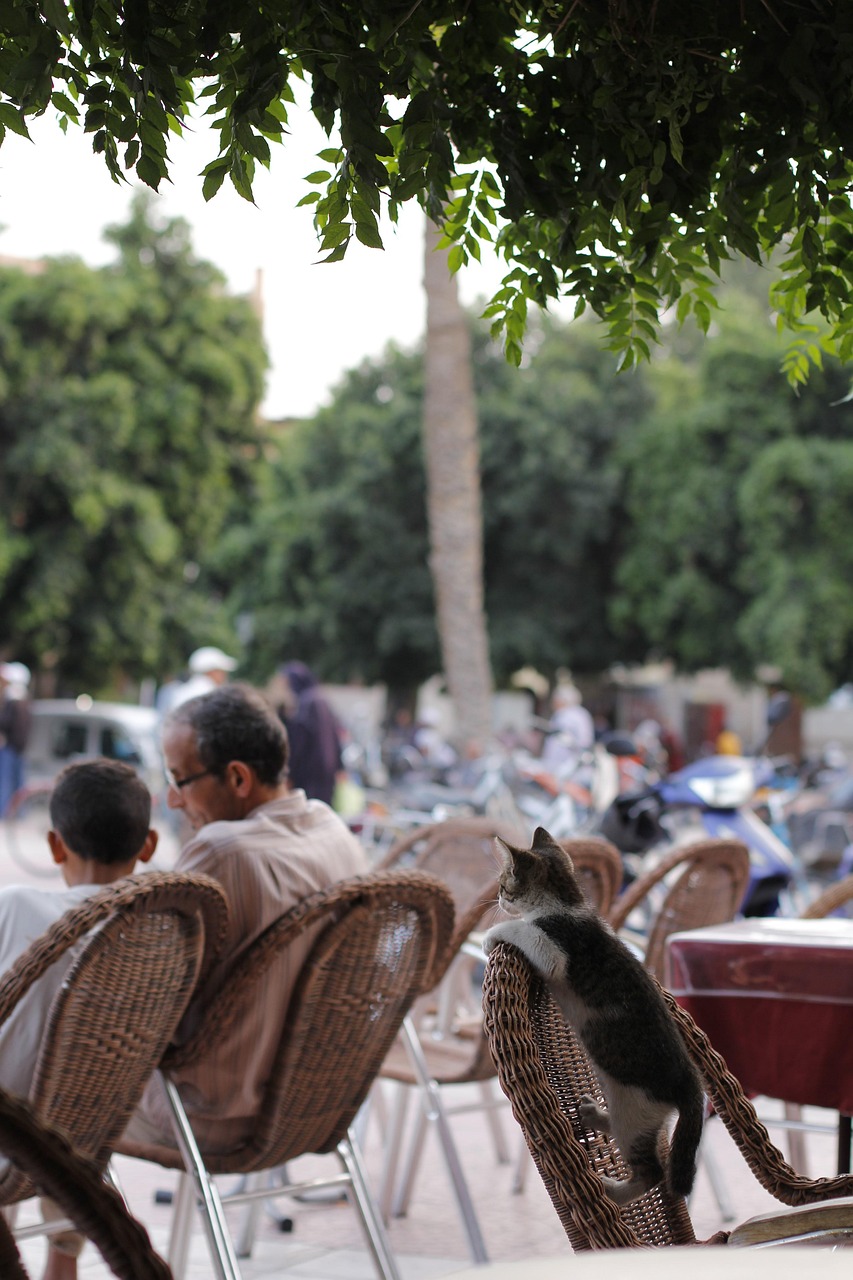 g9bde73b9417c3692ccb7f7374a1aa12ab4358eb474f6dd48c87fd80921e4178cf0860ec8902fc0321f0f2253c3e8cc4e2072c4941887efd65282f240aca06146_1280