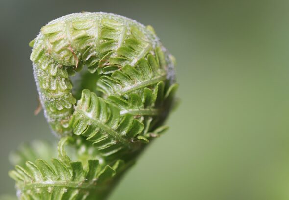 gr&ouml;&szlig;entipps f&uuml;r die perfekte passform &ndash; finden sie die richtigen ma&szlig;e und erhalten sie hilfreiche hinweise f&uuml;r ihre kleidungsauswahl.
